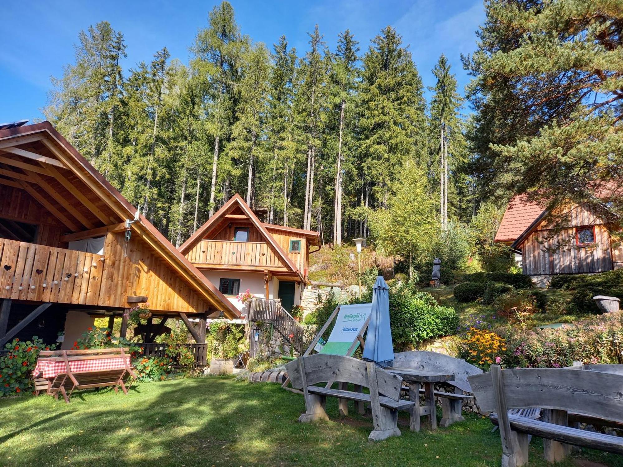 Guesthouse Planinski Dom Majerhold Solčava Екстериор снимка