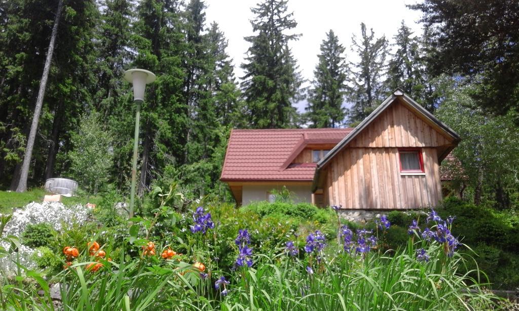 Guesthouse Planinski Dom Majerhold Solčava Екстериор снимка
