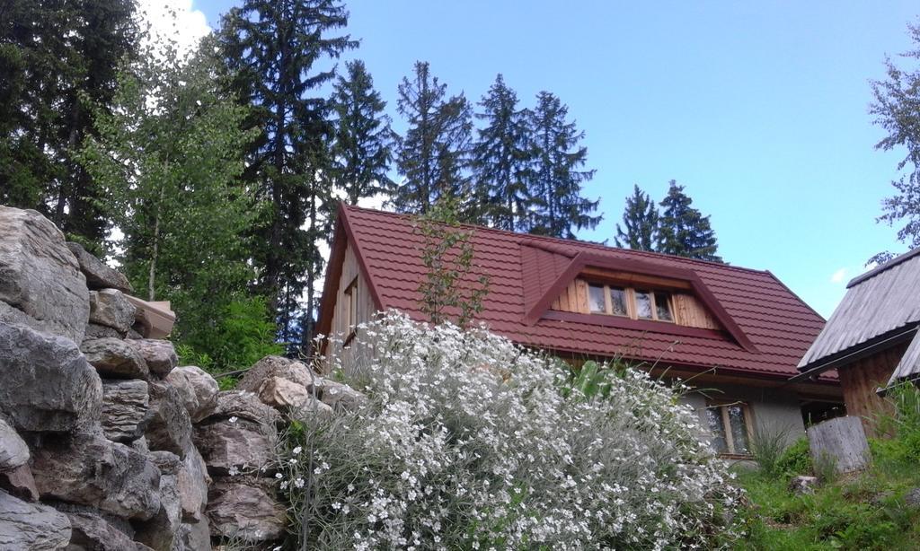 Guesthouse Planinski Dom Majerhold Solčava Екстериор снимка