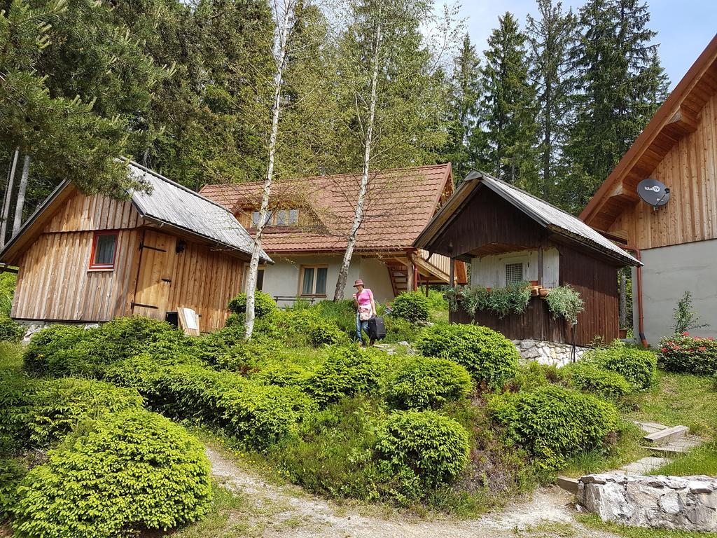 Guesthouse Planinski Dom Majerhold Solčava Екстериор снимка