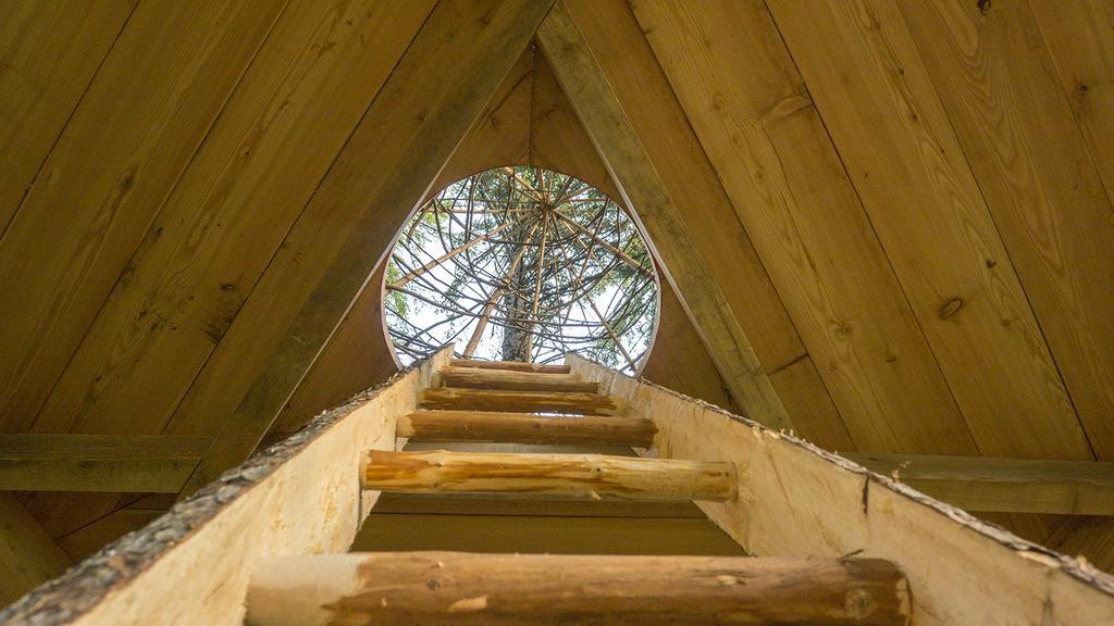 Guesthouse Planinski Dom Majerhold Solčava Екстериор снимка