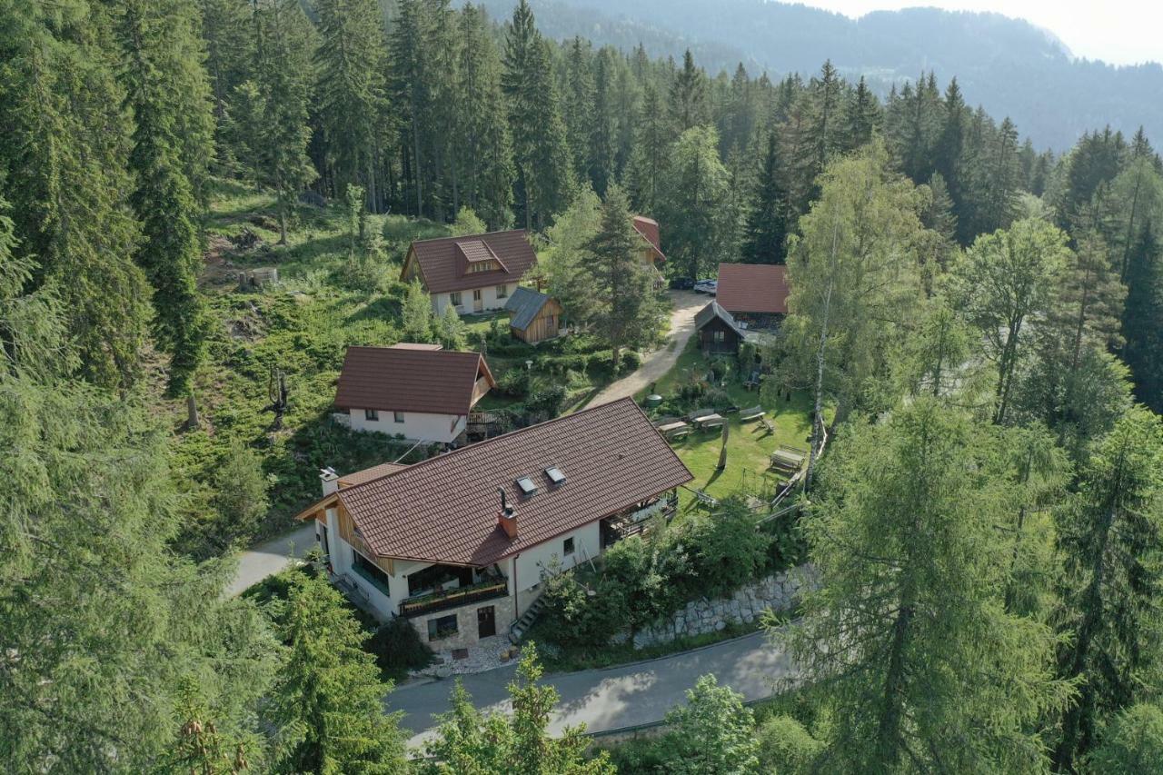 Guesthouse Planinski Dom Majerhold Solčava Екстериор снимка